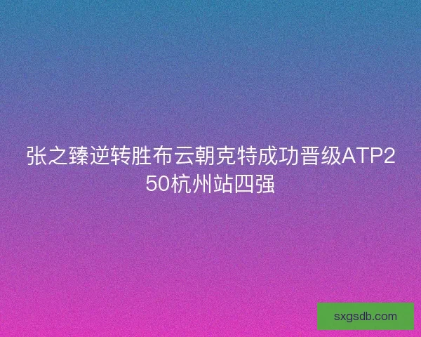 张之臻逆转胜布云朝克特成功晋级ATP250杭州站四强